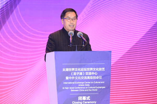 全国政协委员、故宫博物院原常务副院长王亚民发言