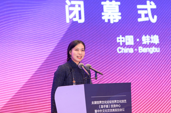 中央美术学院设计学院副院长林存真发言