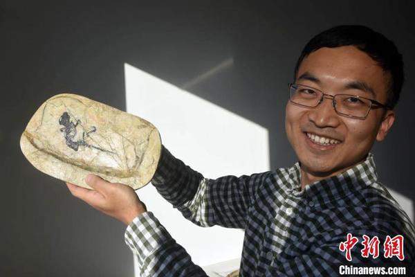 中科院团队研究提出一种哺乳动物中耳演化新模式