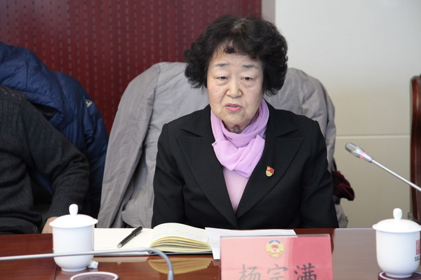 杨宗满委员在会上发言