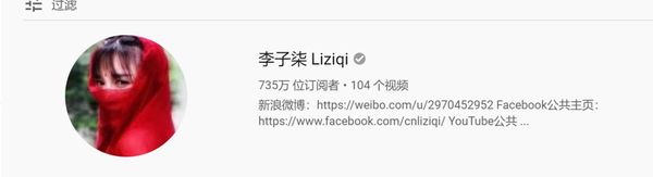 ▲截至2019年12月5日，李子柒在Youtube上的粉丝数是735万。