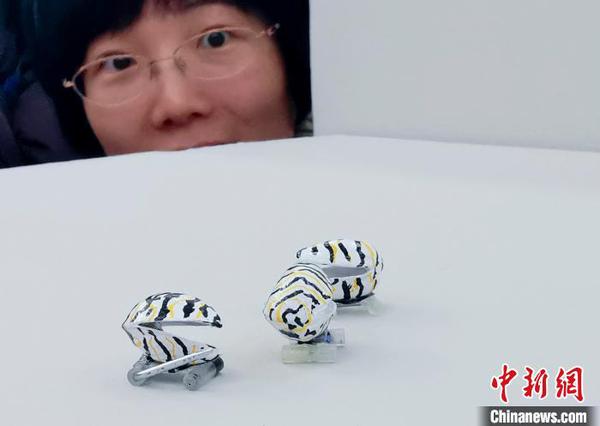 意大利女艺术家维奥莉特？梅拉德的作品 杜洋 摄