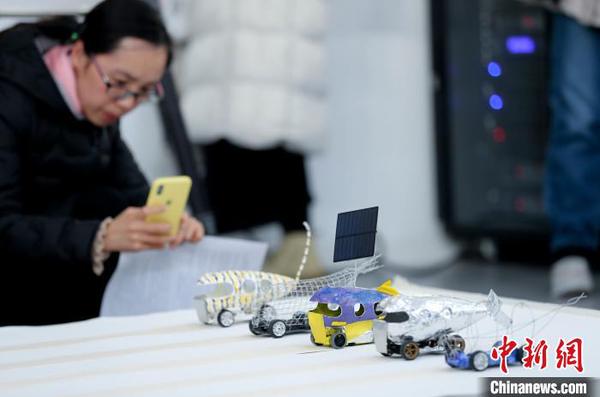 意大利女艺术家维奥莉特？梅拉德的作品 杜洋 摄