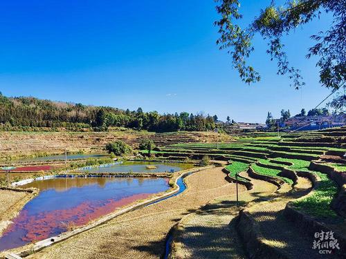 点击进入下一页