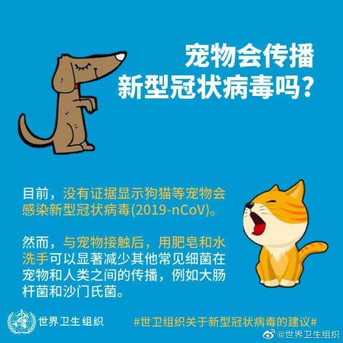 微信图片_20200205155036