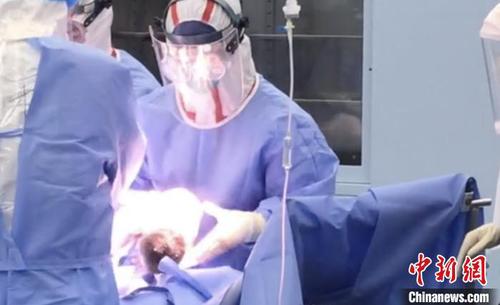 手术现场?！≌愦笠辉?供图 摄