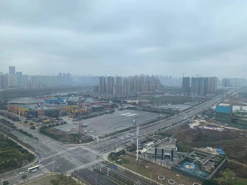 战疫日记武汉第十七天2