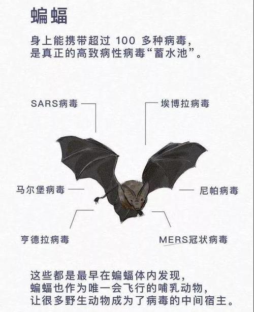 微信图片_20200213102519