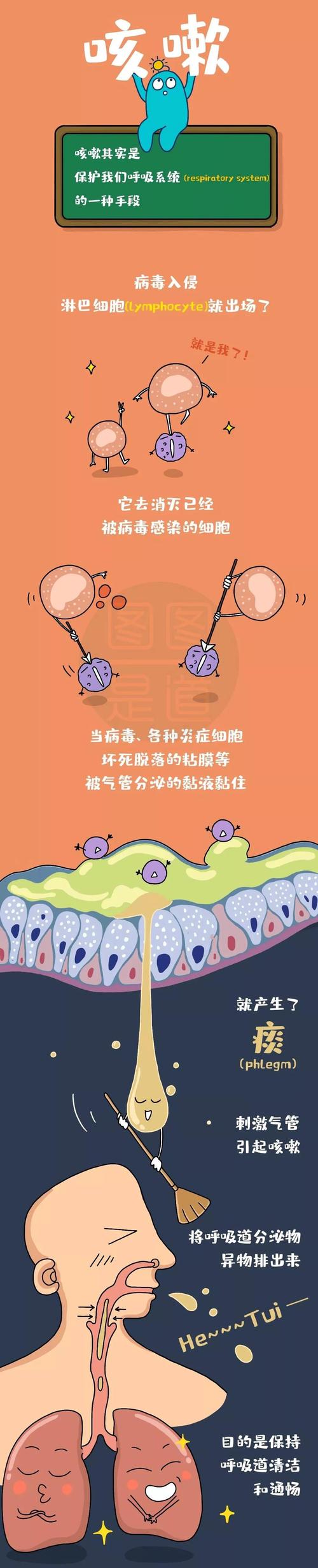 微信图片_20200219190737