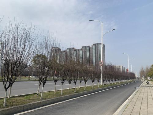 战疫日记武汉30天1