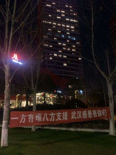 战疫日记武汉30天2