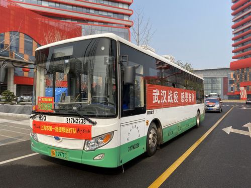 武汉第三十三天1