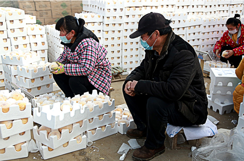 微信截图_20200303160333