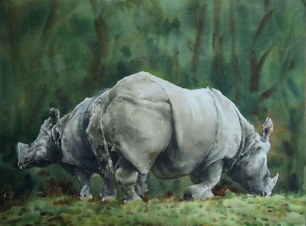 19 作者：胡晓幸 作品名称：《野生动物 人类的朋友》