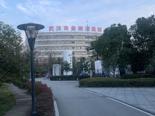 战疫日记武汉42天