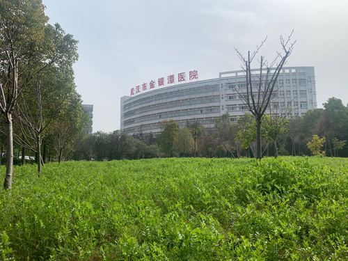 武汉第四十七天