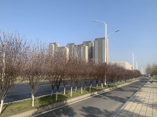 战疫日记武汉第五十一天1