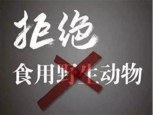 微信图片_20200323132838 微信图片_20200323132838