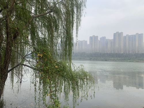 战疫日记武汉第五十八天1