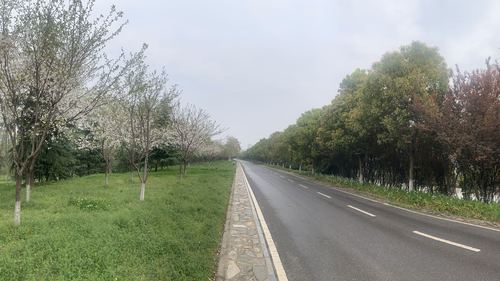 战疫日记武汉第五十八天2