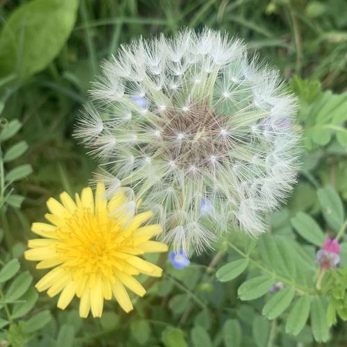 战疫日记武汉第五十八天3