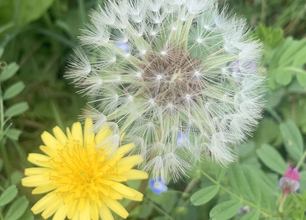 战“疫”日记：本想去“海洋”，一不小心误入“森林”