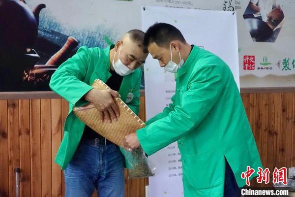 杭州举办西湖龙井茶炒茶王大赛32位炒茶高手过招