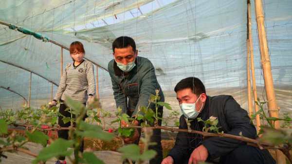 微信图片_20200409165409