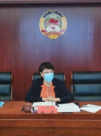 杜娟副主席在座谈会上讲话