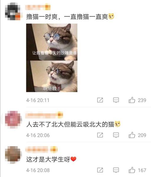 微博截图 点击进入下一页
