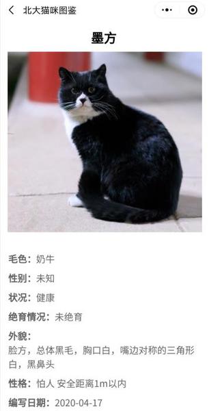“北大流浪猫图鉴”截图 点击进入下一页