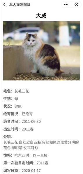 “北大流浪猫图鉴”小程序截图 点击进入下一页