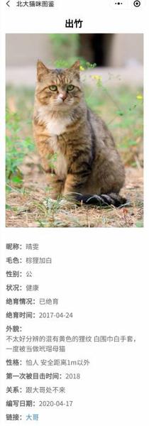 “北大流浪猫图鉴”小程序截图 点击进入下一页