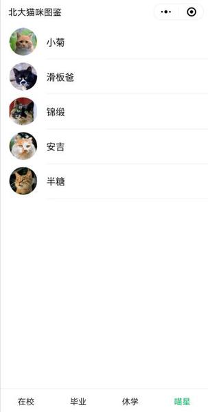 “北大流浪猫图鉴”小程序截图 点击进入下一页