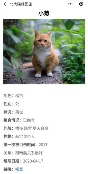 “北大流浪猫图鉴”小程序截图 点击进入下一页