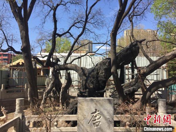 山西挖掘历史名人资源以文化力量滋养城市灵魂