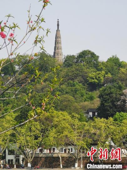 杭州保俶塔重新开放 西湖景区岳庙管理处供图 摄