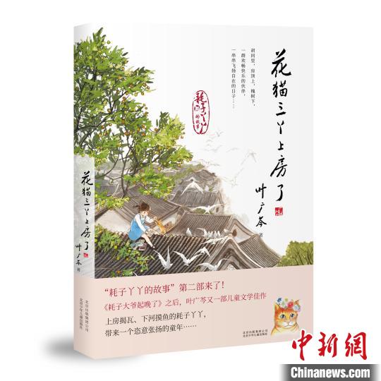 《花猫三丫上房了》 十月 摄