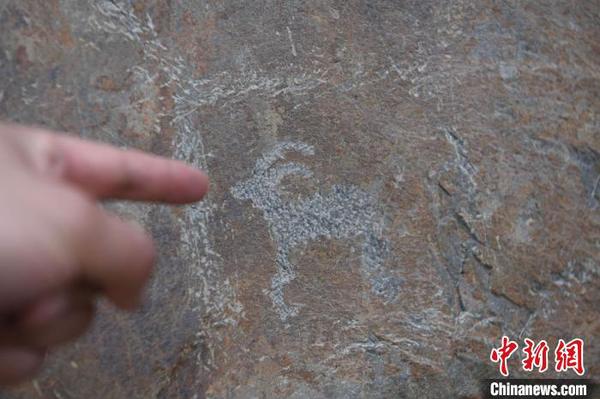 萌态可掬的山羊、鹿、牛等动物，以及佛殿、佛像、佛塔、藏文题刻都成为创作题材?！⊙钛廾?摄