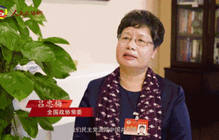 什么是最中国的民主？