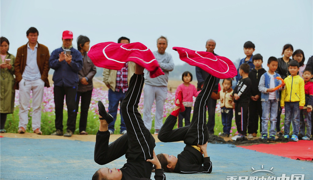 东北庄杂技文化节