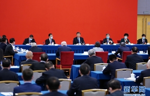 习近平看望参加政协会议的经济界委员