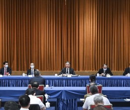 汪洋与民革、台盟、台联界别政协委员共商国是