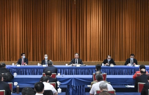 汪洋与民革、台盟、台联界别政协委员共商国是