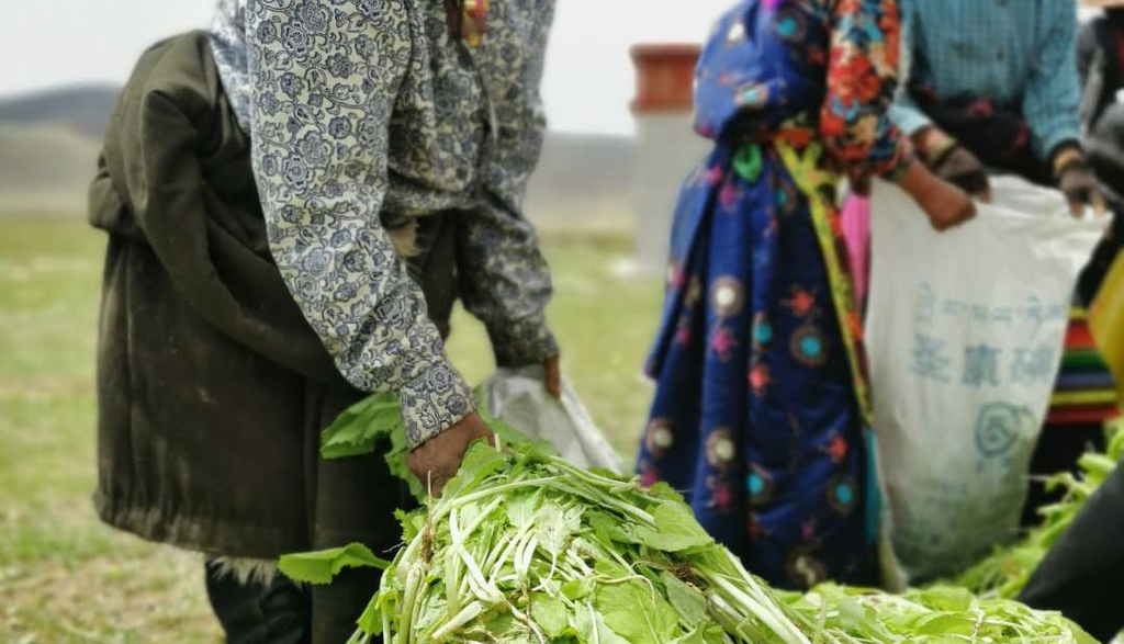 自力更生获丰收，解放思想转观念