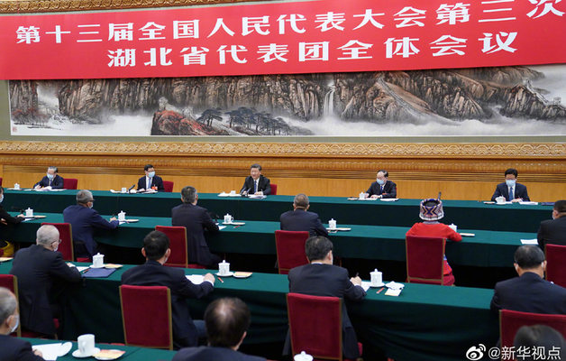 习近平参加湖北代表团审议