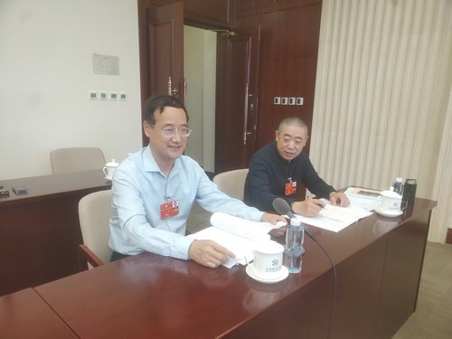 文化艺术界王勇委员在小组会上