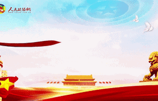 大国之治（集锦篇）