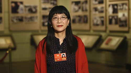 全国政协委员、北京大学第一医院儿科教授丁洁_副本