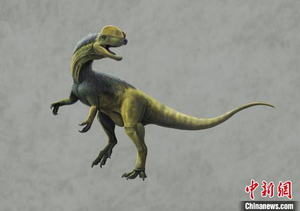 图为卡岩塔足迹造迹者中国龙复原图(绘图：韩志信-北京小天下)。重庆市规划和自然资源局供图